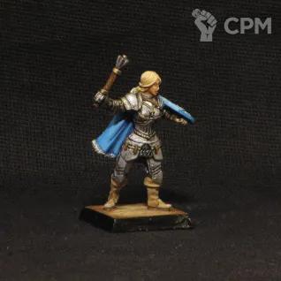 Описание картинки female paladin in armour от Brother Vinni по цене 410руб | Свободный Рынок Миниатюр - СРМ