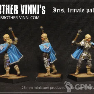 Описание картинки female paladin in armour от Brother Vinni по цене 410руб | Свободный Рынок Миниатюр - СРМ