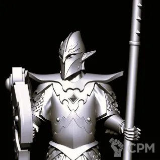 Описание картинки Dark Elf Warriors with spears от Магазин Альфария по цене 1 000руб | Свободный Рынок Миниатюр - СРМ