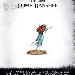 Описание картинки Набор миниатюр Warhammer Age of Sigmar Nighthaunt Tomb Banshee от Дауран по цене 1 800руб | Свободный Рынок Миниатюр - СРМ