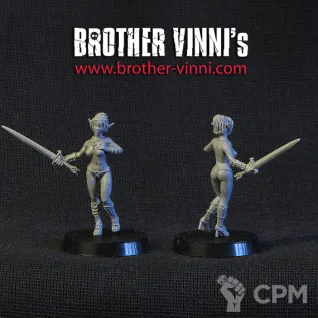 Описание картинки elven girl with sword от Brother Vinni по цене 410руб | Свободный Рынок Миниатюр - СРМ