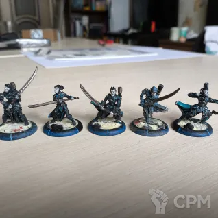 Описание картинки Warmachine - Mercenaries: Cylena Raefyll &amp; Nyss Hunters (10 шт) от Freytir по цене 1 300руб | Свободный Рынок Миниатюр - СРМ