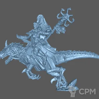 Описание картинки Dark Elf Sorceress on Cold One от Formosa Printing по цене 400руб | Свободный Рынок Миниатюр - СРМ