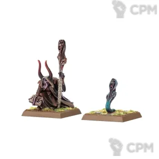 Описание картинки Chaos sorcerer with arcane familiar от Amelio по цене 4 500руб | Свободный Рынок Миниатюр - СРМ
