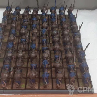 Описание картинки 80 clanrats/slaves with shields от mr.carloff по цене 11 500руб | Свободный Рынок Миниатюр - СРМ