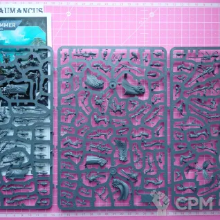 Описание картинки [ОРИГИНАЛ] CORSAIR VOIDREAVERS от Adeptus Baumancus по цене 5 000руб | Свободный Рынок Миниатюр - СРМ