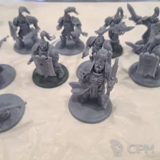 Описание картинки Custodian Guard от 3d печать на заказ по цене 180руб | Свободный Рынок Миниатюр - СРМ