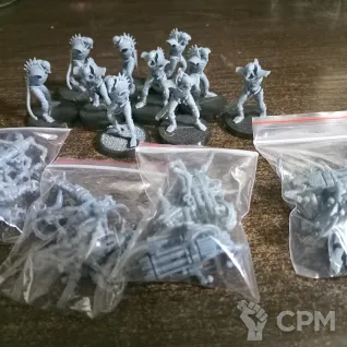 Описание картинки Immortal от  по цене 1 000руб | Свободный Рынок Миниатюр - СРМ