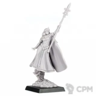 Описание картинки Handmaiden of the Lady от MiniaturesFAN по цене 6 322руб | Свободный Рынок Миниатюр - СРМ