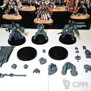 Описание картинки Grey Knigths Paladins/Terminators от Varash по цене 4 900руб | Свободный Рынок Миниатюр - СРМ