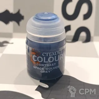 Описание картинки Contrast: Space Wolves Grey от SapherWales по цене 900руб | Свободный Рынок Миниатюр - СРМ
