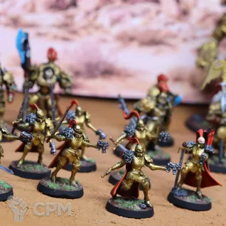 Описание картинки Combat patrol Adeptus Custodes от  по цене 7 000руб | Свободный Рынок Миниатюр - СРМ
