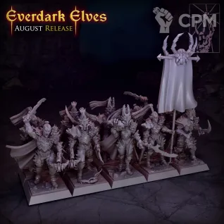 Описание картинки Dark elves regiment от Barduck Miniatures по цене 1 632руб | Свободный Рынок Миниатюр - СРМ