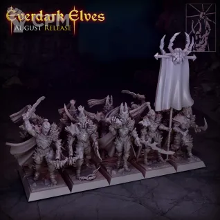 Описание картинки Dark elves regiment от Barduck Miniatures по цене 1 632руб | Свободный Рынок Миниатюр - СРМ