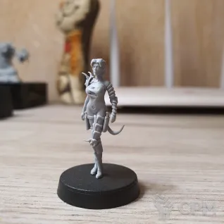 Описание картинки Planescape: torment набор из 3 моделей 32mm от GeekUndead по цене 750руб | Свободный Рынок Миниатюр - СРМ