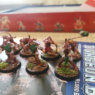 Описание картинки ? Dungeon Bowl — редкое издание во вселенной Blood Bowl ? от Галл по цене 12 000руб | Свободный Рынок Миниатюр - СРМ