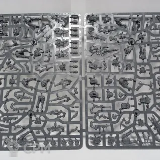 Описание картинки Neophyte Hybrids от mohctp_bepmaxta по цене 3 000руб | Свободный Рынок Миниатюр - СРМ