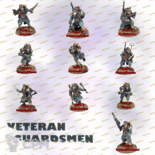 Описание картинки Kill Team: Veteran Guardsmen от Formosa Printing по цене 1 200руб | Свободный Рынок Миниатюр - СРМ