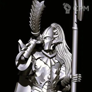 Описание картинки Black Guard of Naggarond от Магазин Альфария по цене 1 000руб | Свободный Рынок Миниатюр - СРМ