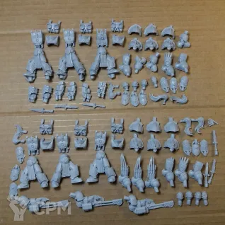 Описание картинки 6 х Legio Custodes Aquilon Terminator Squad (6 шт) от Plants vs Zombies по цене 2 290руб | Свободный Рынок Миниатюр - СРМ