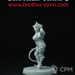 Описание картинки dark elf punisher от Brother Vinni по цене 410руб | Свободный Рынок Миниатюр - СРМ