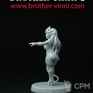 Описание картинки dark elf punisher от Brother Vinni по цене 410руб | Свободный Рынок Миниатюр - СРМ