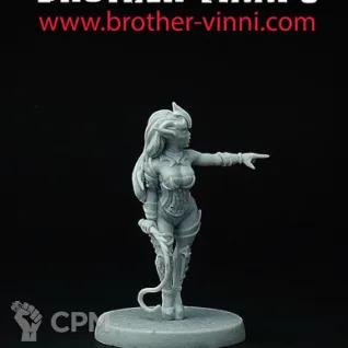 Описание картинки dark elf punisher от Brother Vinni по цене 410руб | Свободный Рынок Миниатюр - СРМ