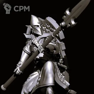 Описание картинки Dark Elf Warriors with spears от Магазин Альфария по цене 1 000руб | Свободный Рынок Миниатюр - СРМ