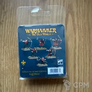 Описание картинки Squires от zurdo по цене 5 400руб | Свободный Рынок Миниатюр - СРМ