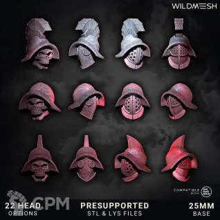 Описание картинки Chaos Wrath - Gladiators Multipart Squad от PocketSized Prints по цене 2 250руб | Свободный Рынок Миниатюр - СРМ