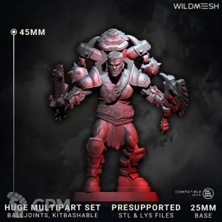 Описание картинки Chaos Wrath - Gladiators Multipart Squad от PocketSized Prints по цене 2 250руб | Свободный Рынок Миниатюр - СРМ