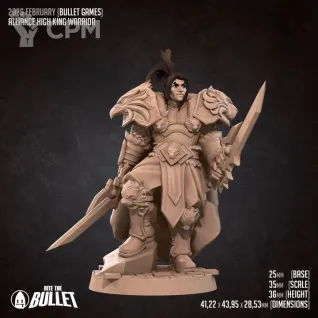 Описание картинки Alliance High King Warrior от PocketSized Prints по цене 220руб | Свободный Рынок Миниатюр - СРМ