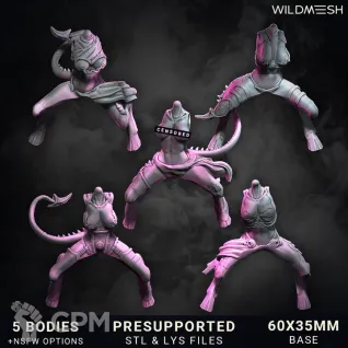 Описание картинки Chaos Excess - Succubus Riders Unit от PocketSized Prints по цене 2 700руб | Свободный Рынок Миниатюр - СРМ