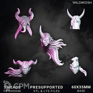 Описание картинки Chaos Excess - Succubus Riders Unit от PocketSized Prints по цене 2 700руб | Свободный Рынок Миниатюр - СРМ