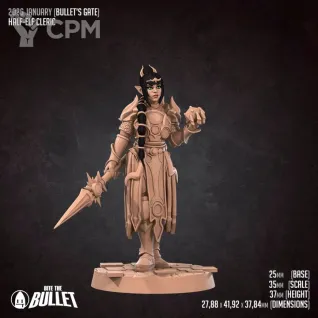 Описание картинки Half-Elf Cleric от PocketSized Prints по цене 200руб | Свободный Рынок Миниатюр - СРМ