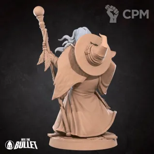 Описание картинки Human Harper Wizard от PocketSized Prints по цене 200руб | Свободный Рынок Миниатюр - СРМ