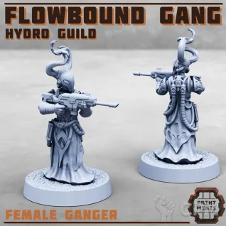 Описание картинки Flowbound - Hydro Guild Gang от PocketSized Prints по цене 1 200руб | Свободный Рынок Миниатюр - СРМ