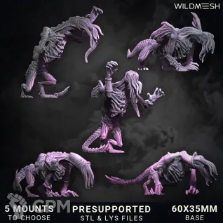 Описание картинки Chaos Excess - Succubus Riders Unit от PocketSized Prints по цене 2 700руб | Свободный Рынок Миниатюр - СРМ