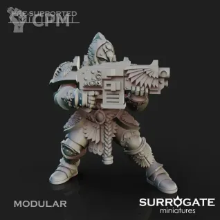 Описание картинки Legio Custodes Sagittarum Custodians от Studio Cockatoo по цене 1 210руб | Свободный Рынок Миниатюр - СРМ