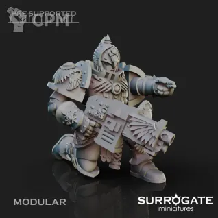 Описание картинки Legio Custodes Sagittarum Custodians от Studio Cockatoo по цене 1 210руб | Свободный Рынок Миниатюр - СРМ