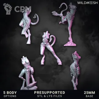 Описание картинки Chaos Excess – Succubus Unit Set от PocketSized Prints по цене 850руб | Свободный Рынок Миниатюр - СРМ