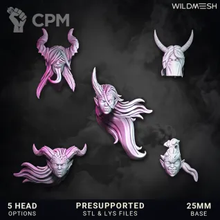 Описание картинки Chaos Excess – Succubus Unit Set от PocketSized Prints по цене 850руб | Свободный Рынок Миниатюр - СРМ
