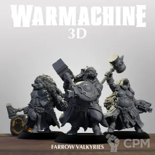 Описание картинки Farrow Valkyries от Manufactorum76 по цене 675руб | Свободный Рынок Миниатюр - СРМ
