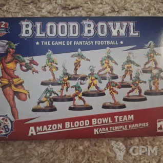 Описание картинки Amazon blood bowl team от Sand0h по цене 3 500руб | Свободный Рынок Миниатюр - СРМ