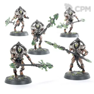 Описание картинки Lychguard/Triarch Praetorians от  по цене 6 000руб | Свободный Рынок Миниатюр - СРМ