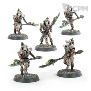Описание картинки Lychguard/Triarch Praetorians от  по цене 6 000руб | Свободный Рынок Миниатюр - СРМ