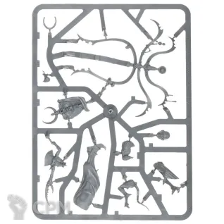 Описание картинки HEDONITES OF SLAANESH: Syll'Esske: The Vengeful Allegiance от Магазин Хобби по цене 5 200руб | Свободный Рынок Миниатюр - СРМ