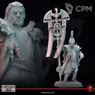 Описание картинки Elve Lord Drago with Banner 2 от Barduck Miniatures по цене 329руб | Свободный Рынок Миниатюр - СРМ