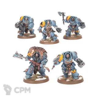 Описание картинки Wolf Guard Terminators от Knight of Light по цене 1 250руб | Свободный Рынок Миниатюр - СРМ