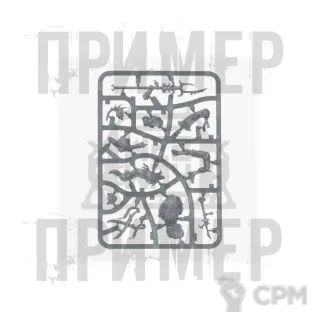 Описание картинки Akhelian Thrallmaster (1 литник) от WebWay по цене 770руб | Свободный Рынок Миниатюр - СРМ